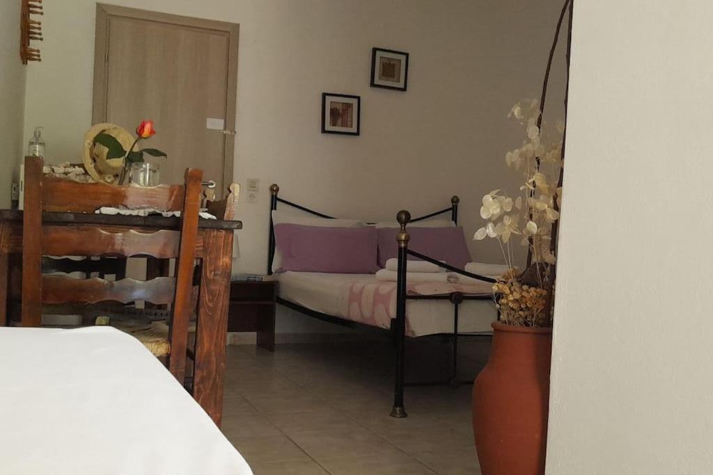 Το Σπίτι Της Ελένης Apartment Vlachia Ngoại thất bức ảnh