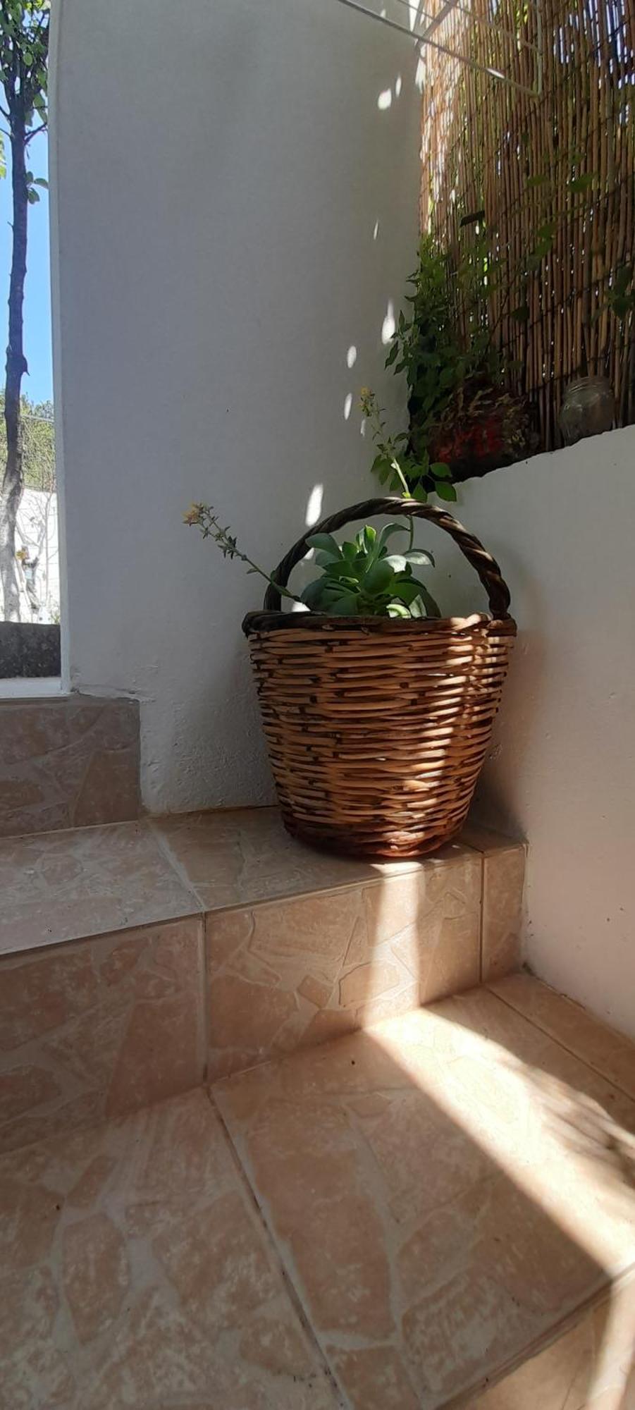 Το Σπίτι Της Ελένης Apartment Vlachia Ngoại thất bức ảnh